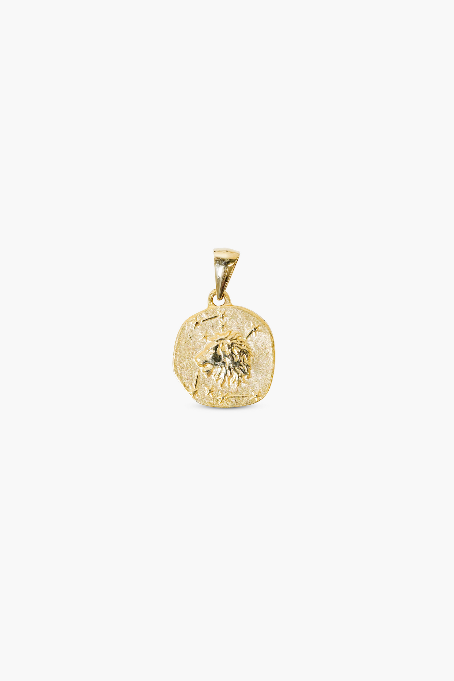 zodiac charm